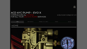 What Acd-pump.com website looks like in 2024 