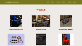 What Amghylx.cn website looks like in 2024 