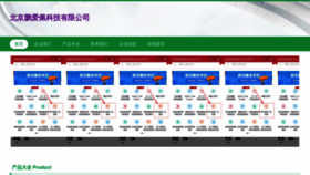 What A9193.cn website looks like in 2024 