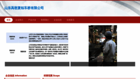 What Aalamus.cn website looks like in 2024 