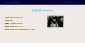 What Aalarvy.cn website looks like in 2024 