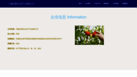 What Ahboya.cn website looks like in 2024 