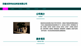What Ahygc.cn website looks like in 2024 