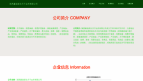 What Amghxel.cn website looks like in 2024 