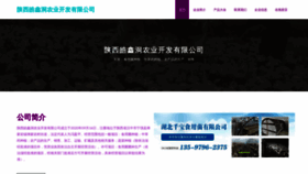 What Amghxsm.cn website looks like in 2024 