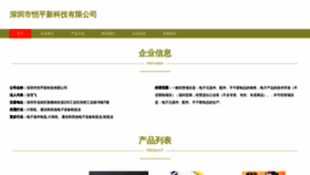 What Amy-kaixin.cn website looks like in 2024 