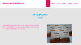 What Anzevip.cn website looks like in 2024 