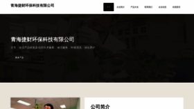 What Aojitcg.cn website looks like in 2024 