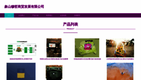 What Atmzeqy.cn website looks like in 2024 