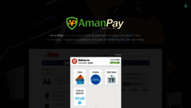What Amanpay.net website looks like in 2024 