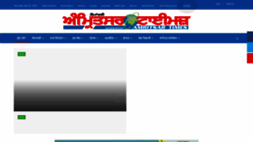 What Amritsartimes.com website looks like in 2024 