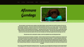 What Afinmore.co.uk website looks like in 2024 
