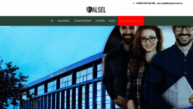 What Alsel.com.tr website looks like in 2024 
