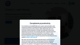 What Agentpzu.pl website looks like in 2024 