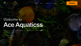What Ace-aquatics.com website looks like in 2024 