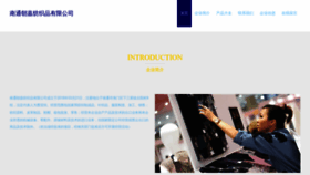 What A3392704838.cn website looks like in 2024 