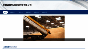 What Ahchenglong.cn website looks like in 2024 