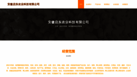 What Ahqidong.cn website looks like in 2024 