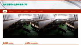 What Amghpzr.cn website looks like in 2024 