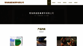 What Aoosdr.cn website looks like in 2024 