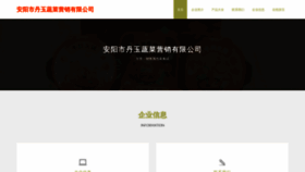 What Aydun.cn website looks like in 2024 