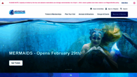 What Adventureaquarium.com website looks like in 2024 