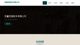 What Ahyungou.com website looks like in 2024 