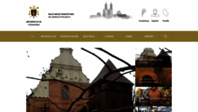 What Archpoznan.pl website looks like in 2024 