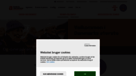 What Alzheimer.dk website looks like in 2024 