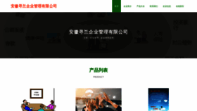 What Ahxunlan.com website looks like in 2024 