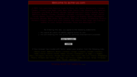 What Acme-us.com website looks like in 2024 