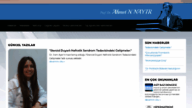What Ahmetnayir.com website looks like in 2024 