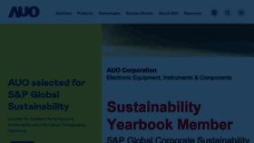 What Auo.com website looks like in 2024 