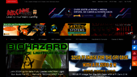 What Arcadepunks.com website looks like in 2024 