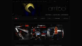 What Amtool.ua website looks like in 2024 