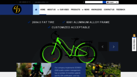 What Anyiebikes.com website looks like in 2024 