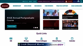 What Asge.org website looked like in 2024 (1 year ago)