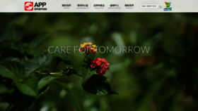 What Apptaiwan.com website looks like in 2024 