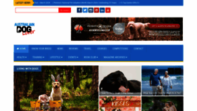 What Australiandoglover.com website looks like in 2024 