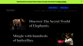 What Amnh.org website looks like in 2024 