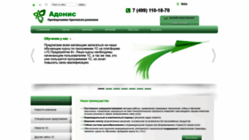 What Adonis24.ru website looks like in 2024 