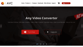 What Any-video-converter.com website looks like in 2024 