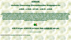 What Aokr.de website looks like in 2024 