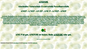 What Anep.de website looked like in 2024 (2 years ago)