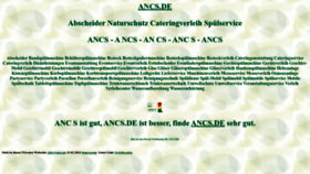 What Ancs.de website looks like in 2024 