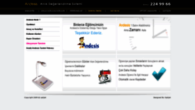What Andesis.com website looks like in 2024 