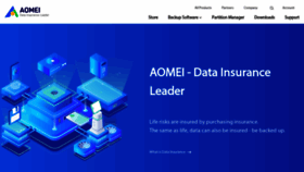 What Aomeitech.com website looks like in 2024 