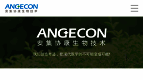 What Angecon.com website looks like in 2024 
