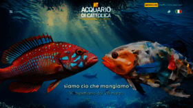 What Acquariodicattolica.it website looks like in 2024 