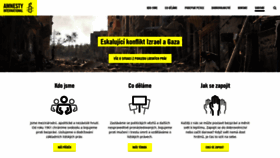 What Amnesty.cz website looks like in 2024 